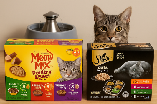 Best Wet Cat Foods According to Amazon Reviews