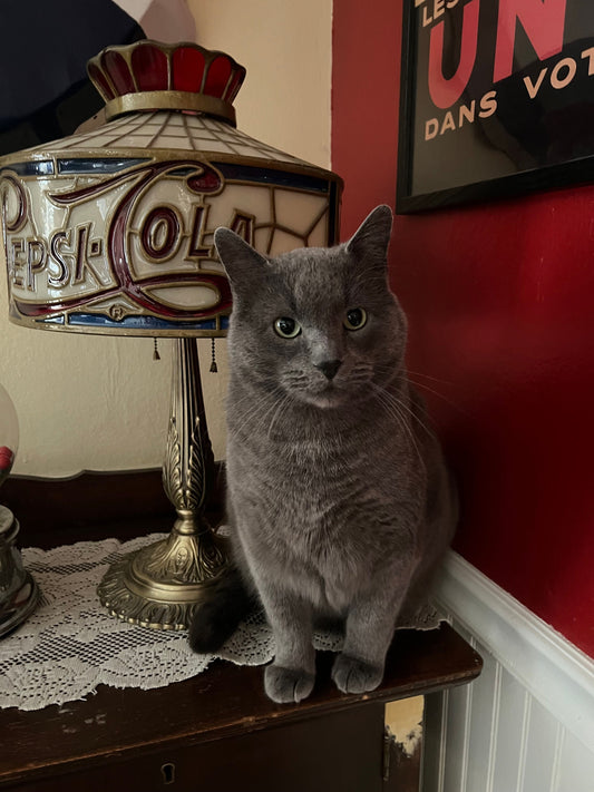 Meet Big Blu, the Utah Winter King