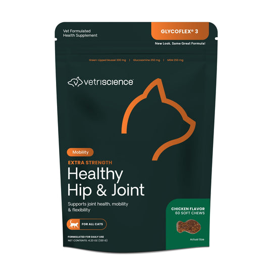 Vet-Approved Supplements for Joint Support & Mobility