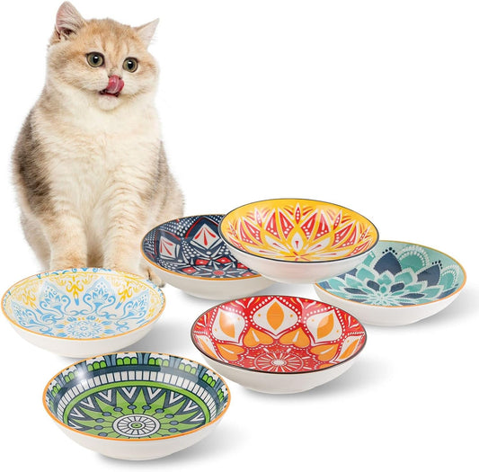 Cat Food Bowls That Prevent Whisker Fatigue
