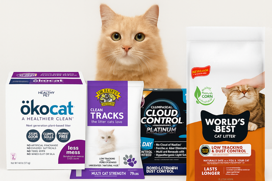Orange cat sitting behind a row of assorted cat food and treat packages against a white background.