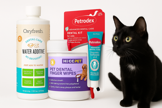 Black cat sitting next to stacked pet grooming products and supplies