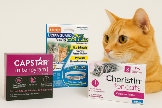 Orange cat sitting beside assorted cat health care products and treats.