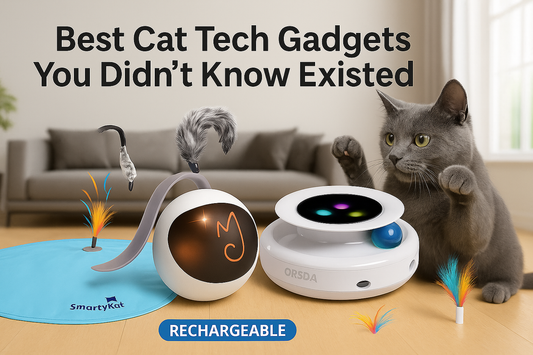 A grey cat plays with tech toys in a modern room under the title "Best Cat Tech Gadgets You Didn’t Know Existed.
