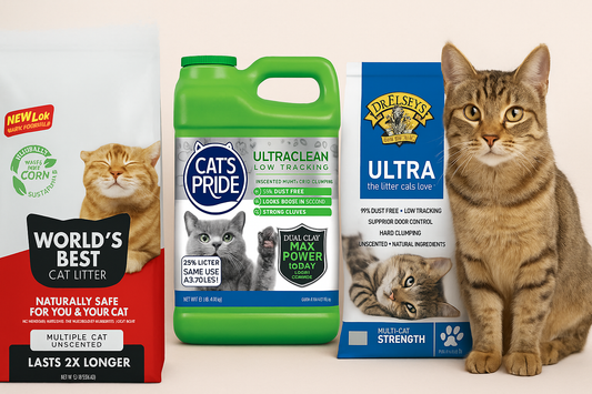 Clear front view of three cat litter brands—World’s Best, Cat’s Pride, and Dr. Elsey’s—lined up side by side with a tabby cat next to them on a beige background