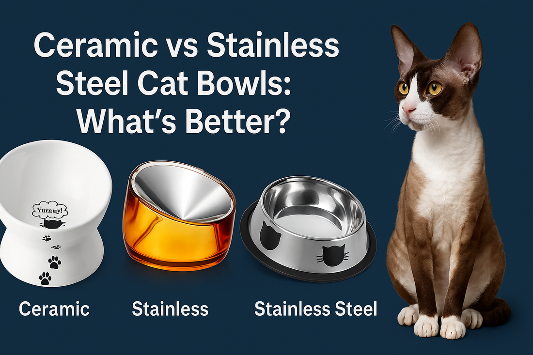 A Cornish Rex cat sits beside three cat bowls—ceramic, amber stainless, and classic stainless steel—on a wooden surface with the title "Ceramic vs Stainless Steel Cat Bowls: What’s Better?" above