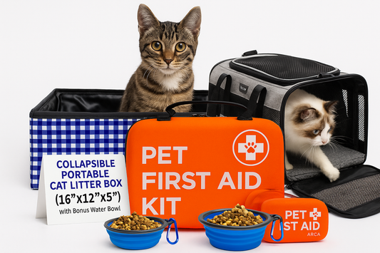 Tabby kitten sitting among pet emergency kit, food bowls, and supplies