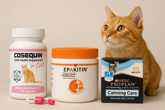 Orange cat sitting beside jars of cat supplements and vitamins