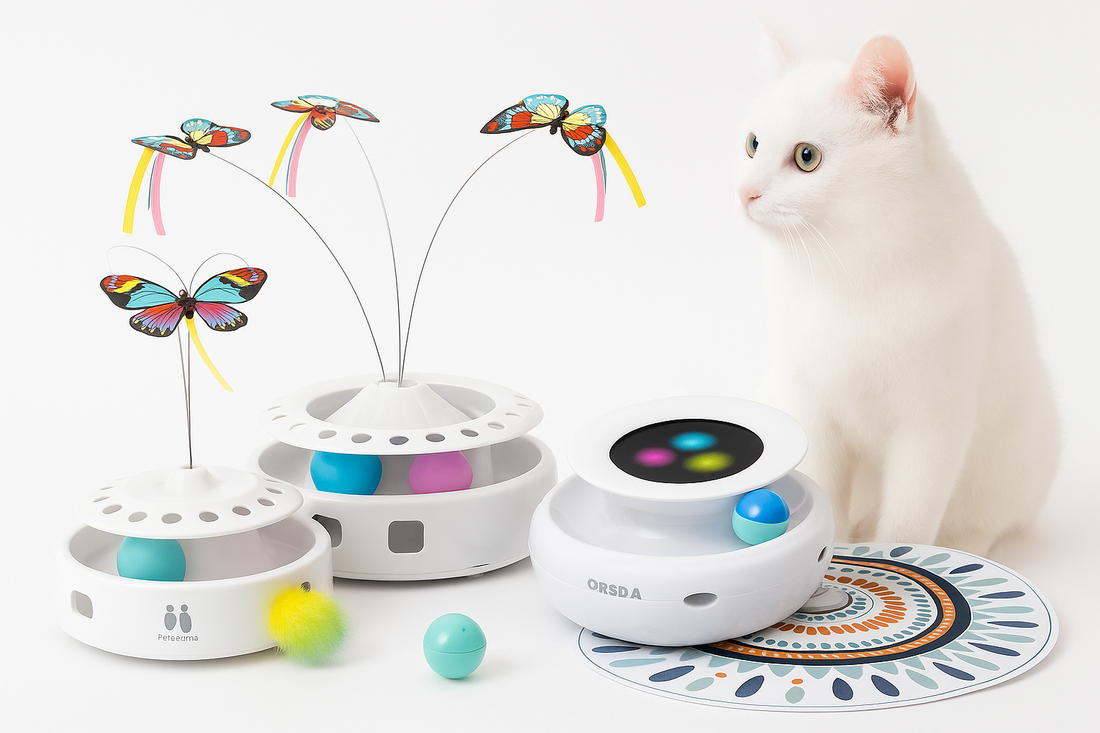 White cat playing next to a variety of interactive cat toys, including feather spinners, balls, and a track toy, on a white background.