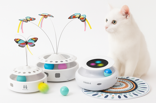White cat playing next to a variety of interactive cat toys, including feather spinners, balls, and a track toy, on a white background.