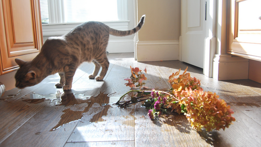 Tabby cat drinking water from a spill on the floor next to a knocked-over vase and scattered flowers.