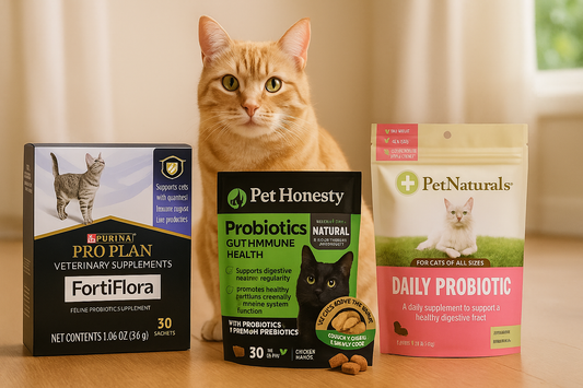 "An orange tabby cat sits behind three probiotic cat supplements—FortiFlora, Pet Honesty, and Pet Naturals—on a wooden floor in a softly lit room."