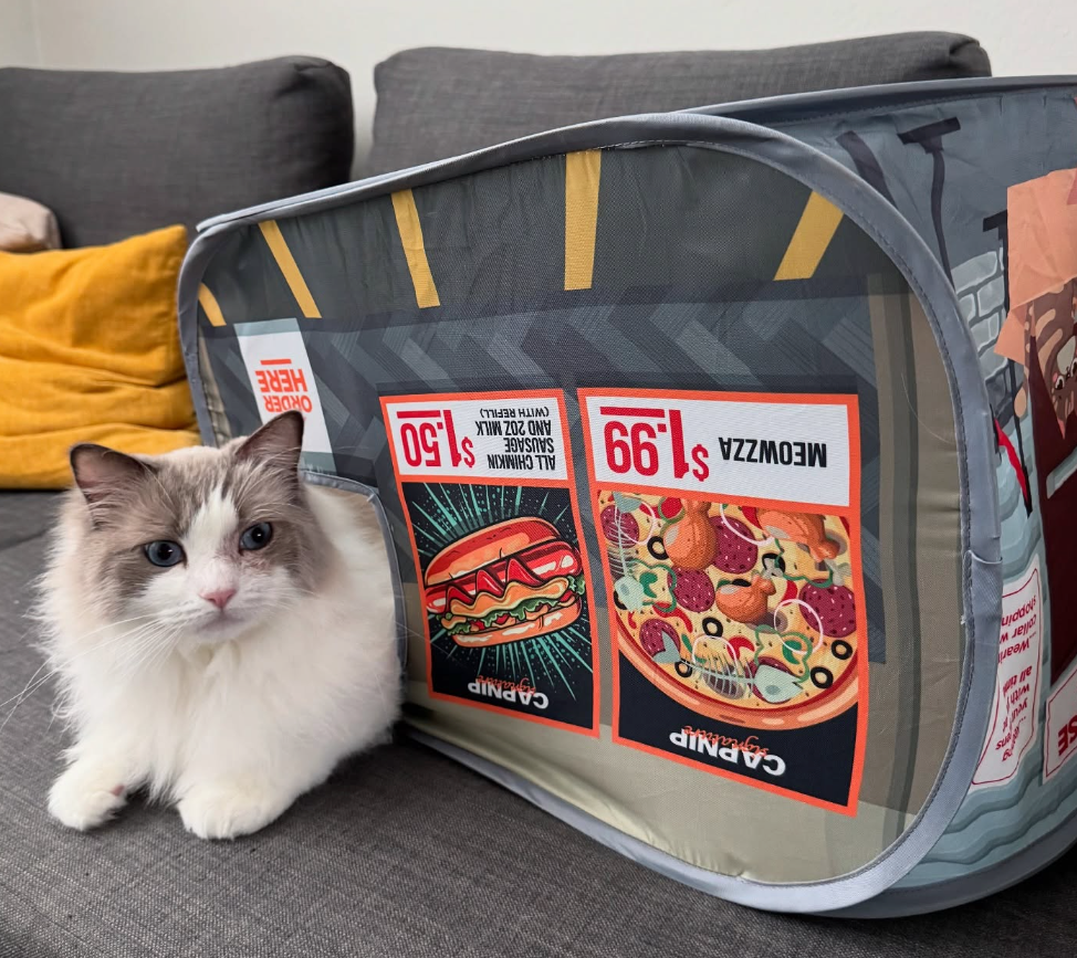 Fluffy white cat sitting next to Catsco Bulk Mart pop-up cat house on sofa.