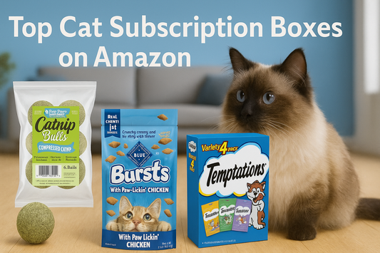 A Balinese cat sits beside three cat treat products with the text "Top Cat Subscription Boxes on Amazon" above, set in a cozy living room with a blue wall and couch