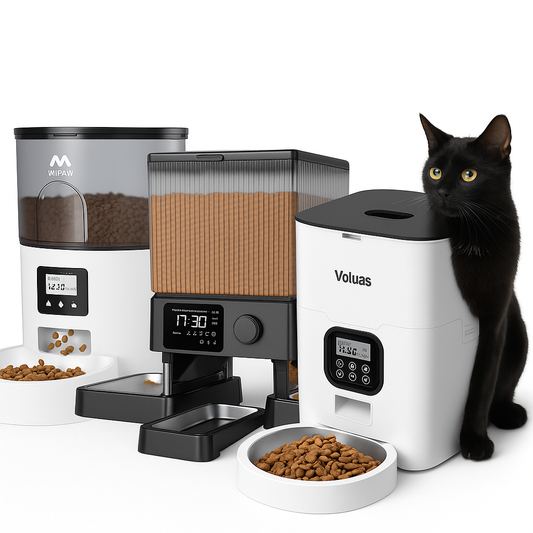 Black cat sitting beside automatic pet feeders and bowls filled with kibble