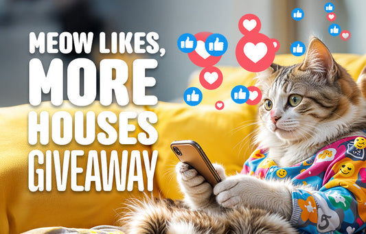 Cat lying on yellow couch using smartphone with text ‘More Meower’s Rewards’ and social media icons