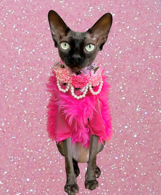 Hairless black sphynx cat wearing a bright pink knitted sweater standing on a pink glittery background.