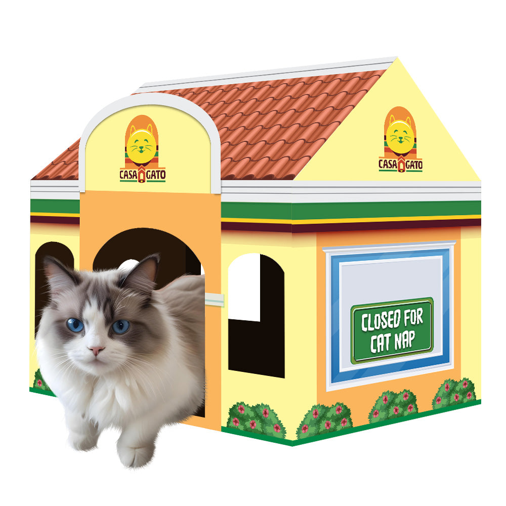 Casa Gato cardboard cat house with fluffy cat sitting at entrance