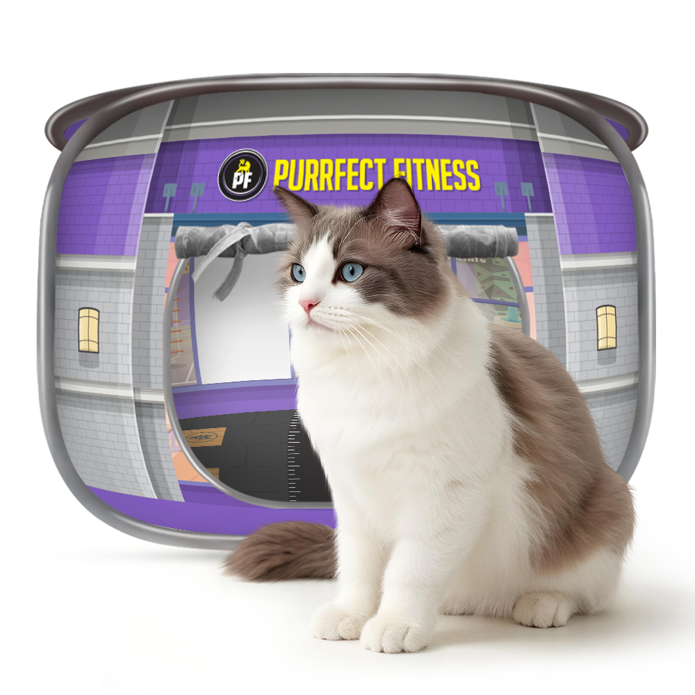 Fluffy white and brown cat sitting in front of a purple and gray collapsible pet tent with mesh panels and cartoon designs; the tent has a rounded shape and a zippered entrance