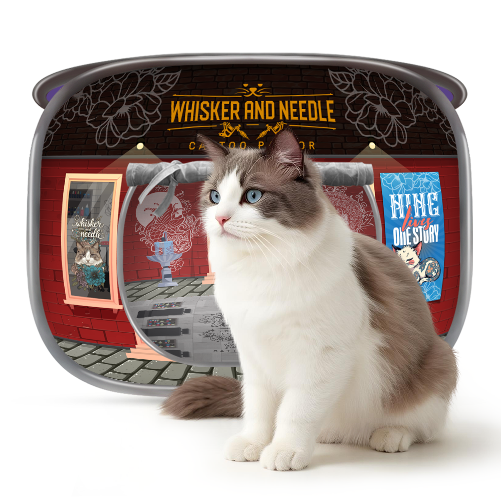 Front view of a red café-themed pop-up cat house featuring window and door illustrations, with a fluffy white and brown cat sitting proudly in front of it