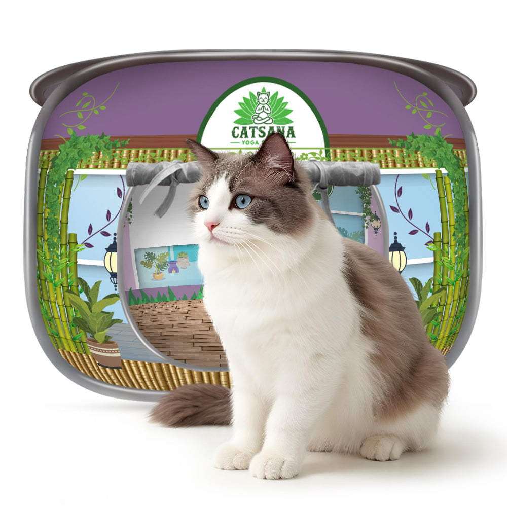 Purple garden cat house with a white fluffy cat in front.