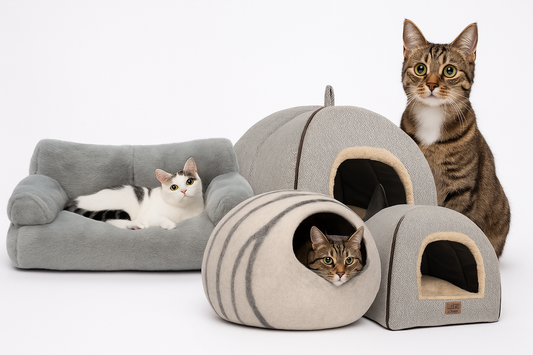 Cats relaxing in grey pet beds and cozy cave-style cat houses.