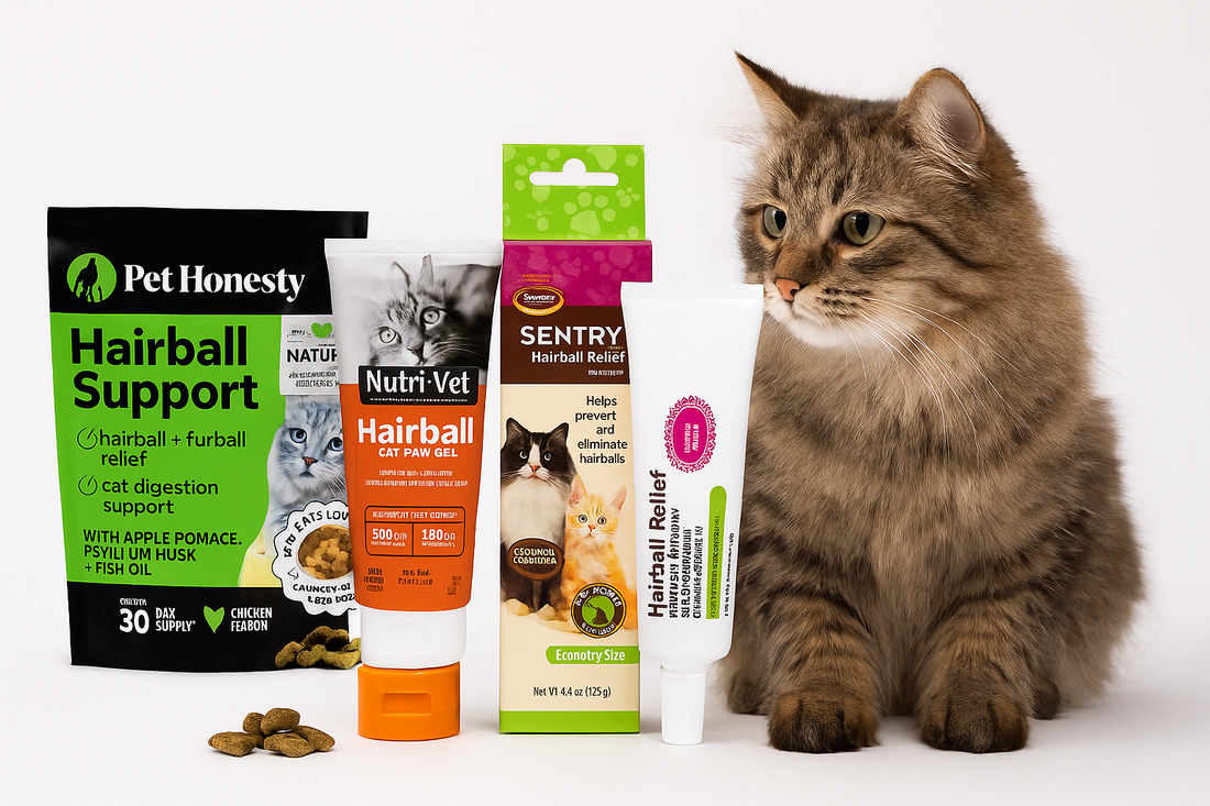 Brown cat sitting next to assorted natural cat treats and food products