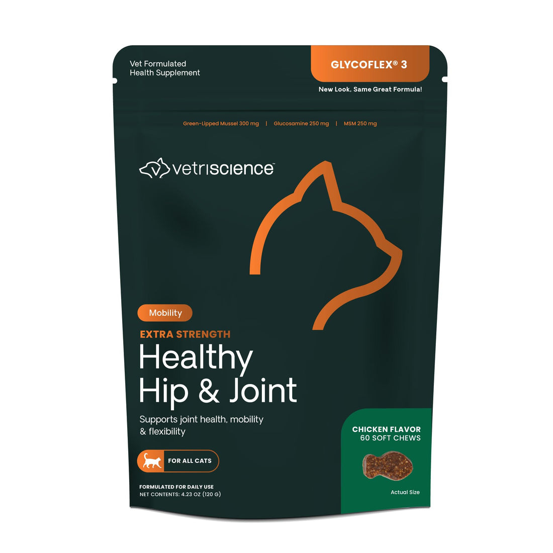 Vet-Approved Supplements for Joint Support & Mobility