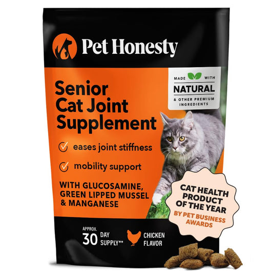 Senior Cat Essentials: Products for Aging Felines