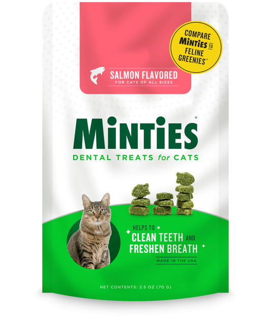 The Best Cat Dental Products to Prevent Bad Breath