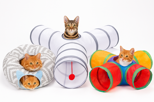 Orange cat sitting among assorted colorful toy balls and clear exercise wheels