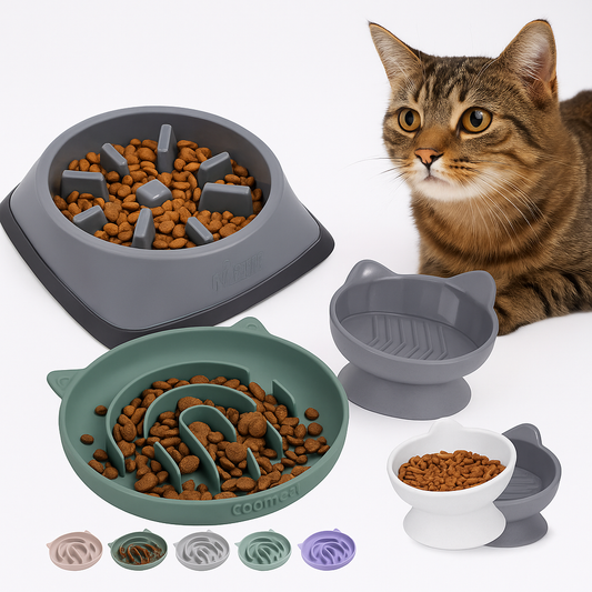 Tabby cat with slow feeder bowls, cat-shaped dish, and dry food.