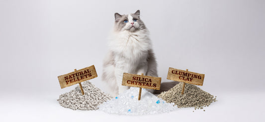 A fluffy white and gray Ragdoll cat sits behind three piles of cat litter, each labeled with a wooden sign: "Natural Pellets," "Silica Crystals," and "Clumping Clay," on a plain white background.