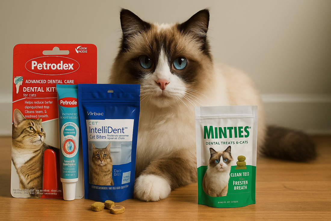 The Best Cat Dental Products to Prevent Bad Breath