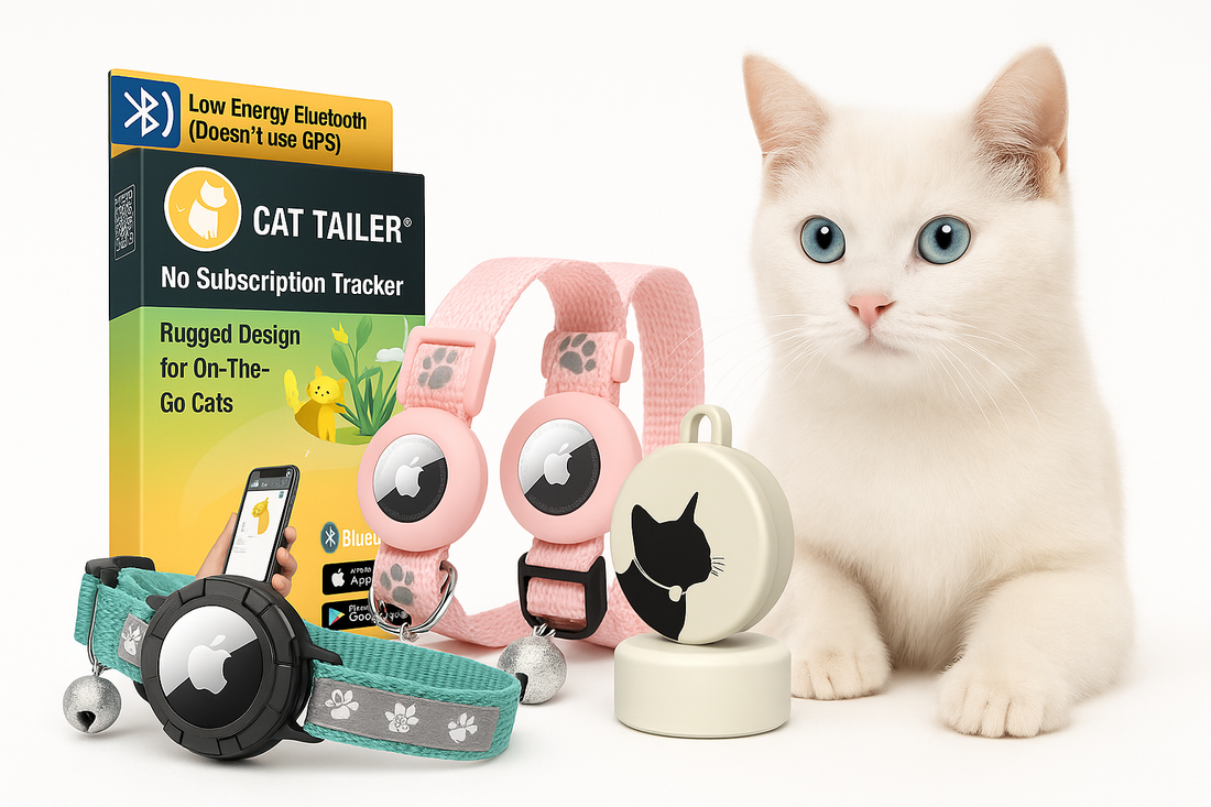 White cat with assorted catnip toys and cat treat products.