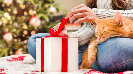 Person untying a red ribbon on a gift box while an orange cat sleeps on their lap in front of a Christmas tree.