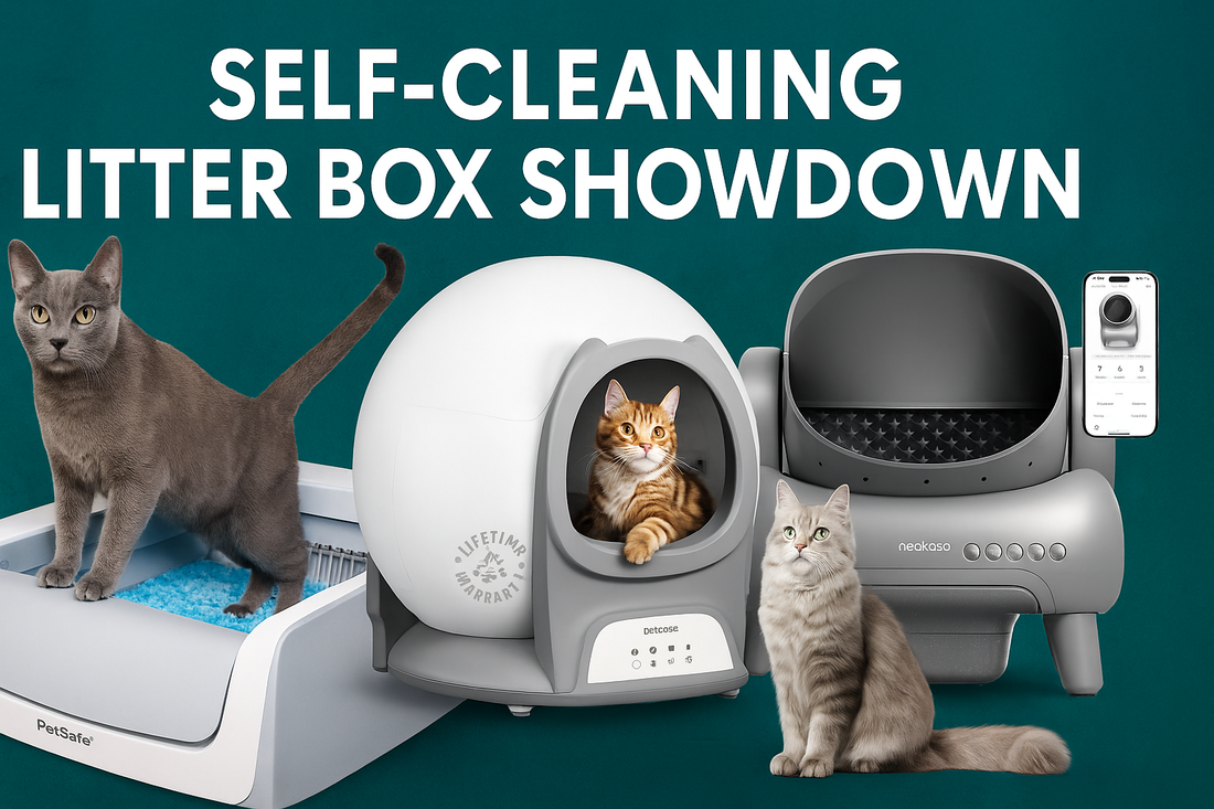 Three fully visible self-cleaning litter boxes—PetSafe, Petcove, and neakasa—are displayed with cats and a teal textured background, under a bold title "Self-Cleaning Litter Box Showdown.