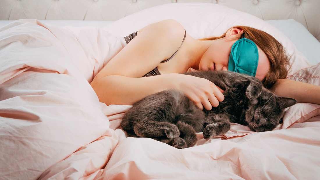 Person sleeping in bed while hugging a gray cat, wearing a teal sleep mask.