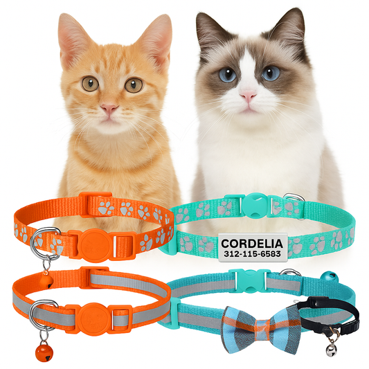 Two cats wearing colorful safety collars with bells.