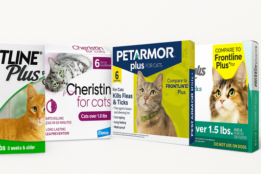 Top 10 Flea & Tick Treatments for Cats That Actually Work