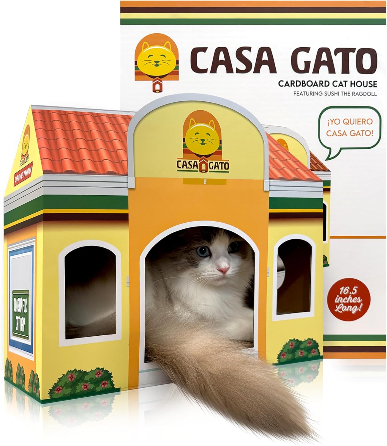 Casa Gato cardboard cat house with cat sitting in doorway.