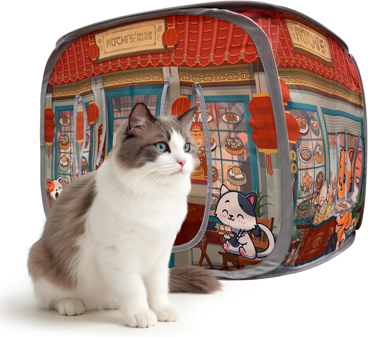 Mochi’s Dim Sum Palace pop-up cat house with fluffy cat sitting in front.