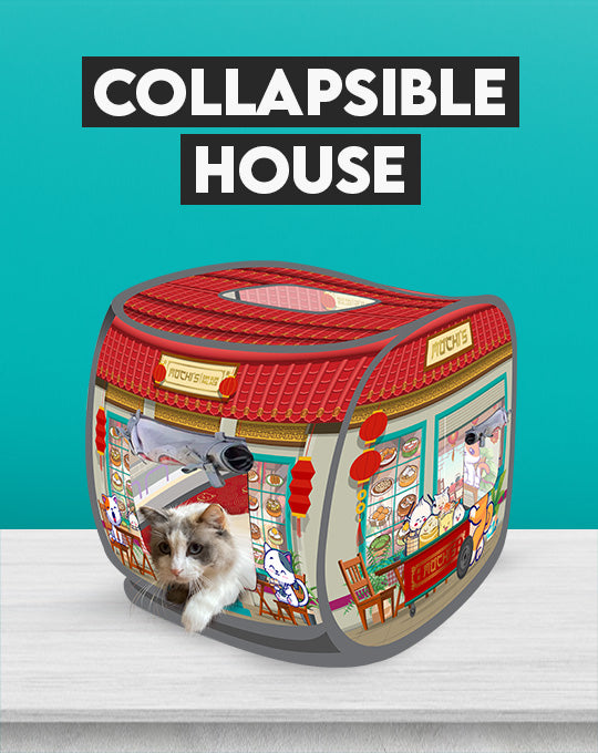 Collapsible Cat House