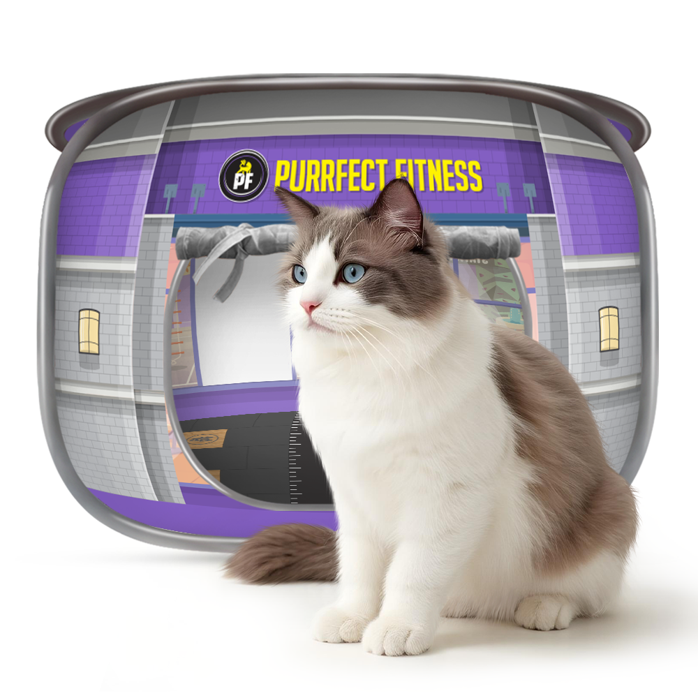 Purrfect FItness Gym - Collapsible Cat House