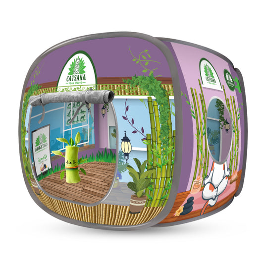 Green and purple cat house with illustrated garden shop design.